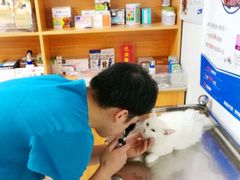 -pd派德宠物中心医院24H急重症·眼科中心·血液透析中心(嵩山北路店)