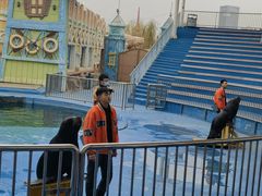 -华夏文旅海洋公园