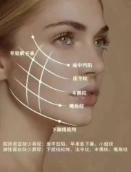 点击看大图 -YESIDO椰岛美容