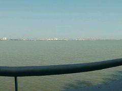 -大湾区中央湿地公园