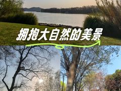 -东湖落雁景区