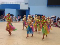 -芜湖新华联大白鲸海洋公园