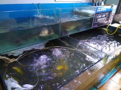 -大鹅岛灶台鱼·铁锅炖(水库路店)