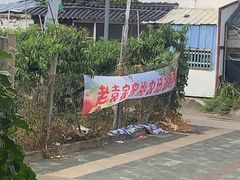 -老袁家蜜桃农场·阳山水蜜桃