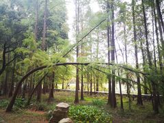 -东湖落雁景区