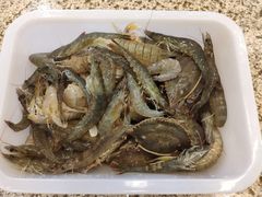 -蟹谢蒸鲜自助餐厅