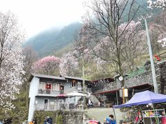 -九皇山景区