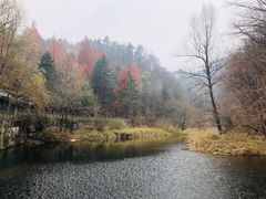 -洛阳白云山景区