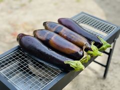 -上海浦江郊野公园-5号停车场