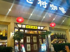 -OLD TREE老树咖啡·西餐厅(台山人工湖店)