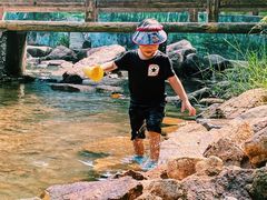 -广州白江湖森林公园