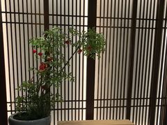 -康逸居·始于2002(海安店)