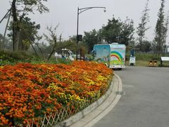 -白鹭湾湿地公园