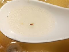 -毡房姑娘·新疆菜·烧烤