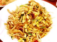 炒豆芽-大地春饼店(黄河路店)