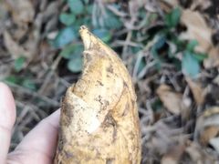 -小乡小镇·传承桐庐土菜·老板亲自烧的菜