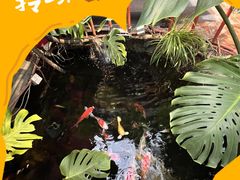 -兰庭玉树·老饭骨家宴(后海店)