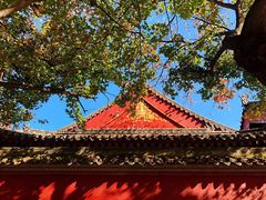-大雁塔北广场音乐喷泉