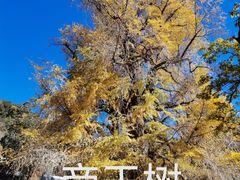 -潭柘寺景区