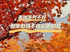 -周口店坡峰岭风景区