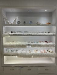 -芳妮豆丁家庭影像馆(宝安店)