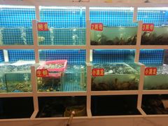 水产区-冶建镜子·老南昌大排档·江西虾王(总店)