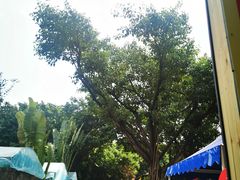 -广州长隆飞鸟乐园