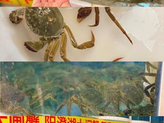 -江杨农产品批发市场