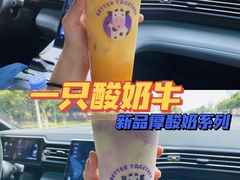 -一只酸奶牛(双流万达广场店)