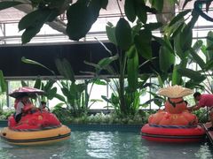 -南宫五洲植物乐园