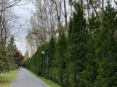 -合肥三国新城遗址公园