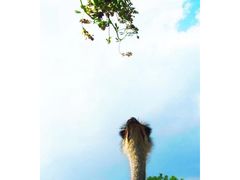 -恩格贝生态旅游区