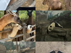 -鄂尔多斯野生动物园