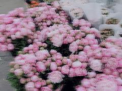 -循礼门鲜花花市(武汉循礼门店)