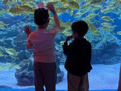 -海合安成都极地海洋公园