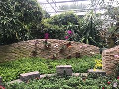 -北京植物园-展览温室