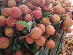 android_upload_pic-广东茂名森林公园