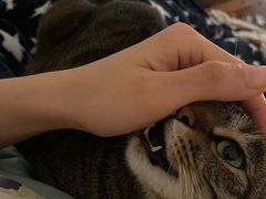 -上海孙中山故居纪念馆