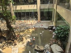 -麒麟中餐厅·经典粤菜·地道菜式老字号(广州长隆酒店)