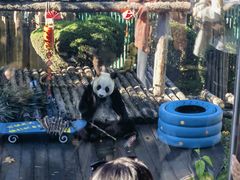 -大连森林动物园