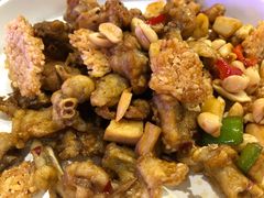 -猫小院猫主题餐厅(三里屯店)