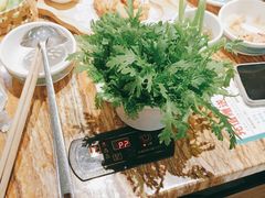 -春润大地海南椰子鸡(沙井京基百纳广场店)