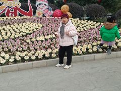 -麦当劳(轻轨曹杨路店)