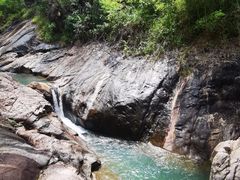 -广州白江湖森林公园