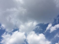 -表妹香港靓点餐厅