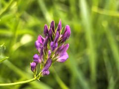 -敕勒川草原文化旅游区
