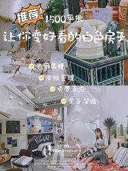 -好看加白色房子