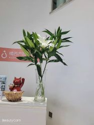 -橘西产后康复中心