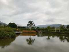 -亚龙湾国际玫瑰谷