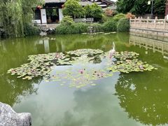 -常熟方塔园